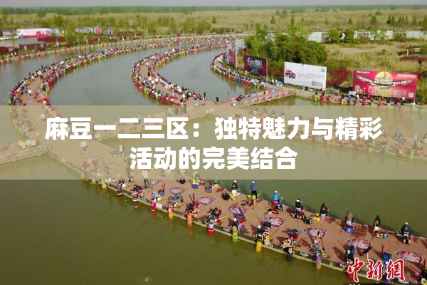 麻豆一二三区：独特魅力与精彩活动的完美结合