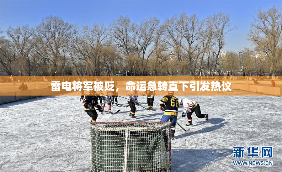 雷电将军被贬，命运急转直下引发热议