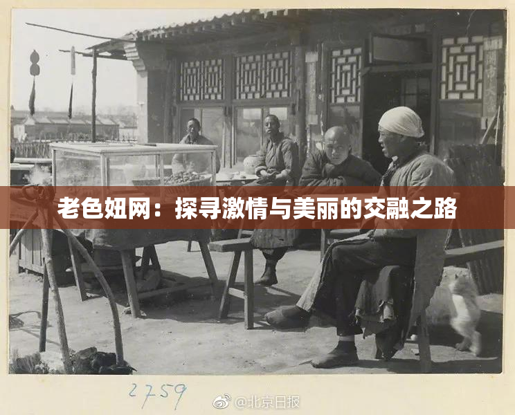 老色妞网：探寻激情与美丽的交融之路