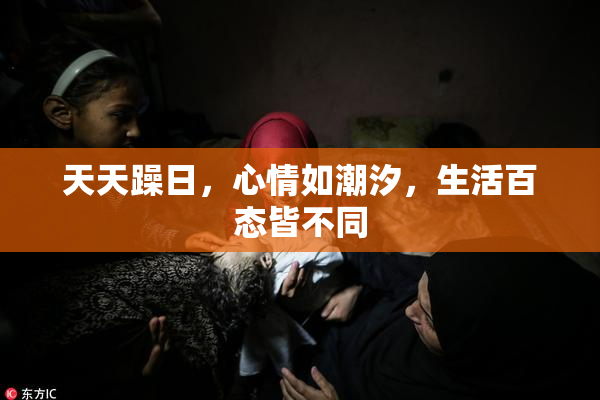 天天躁日，心情如潮汐，生活百态皆不同