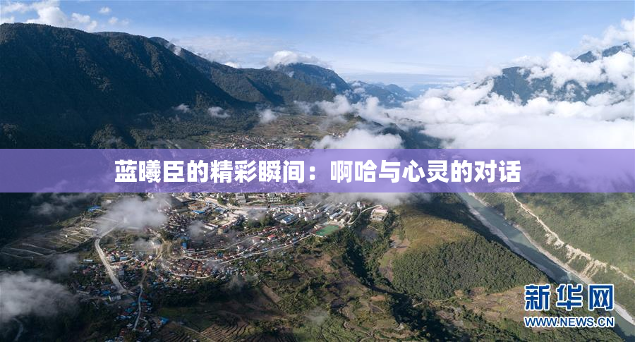 蓝曦臣的精彩瞬间：啊哈与心灵的对话