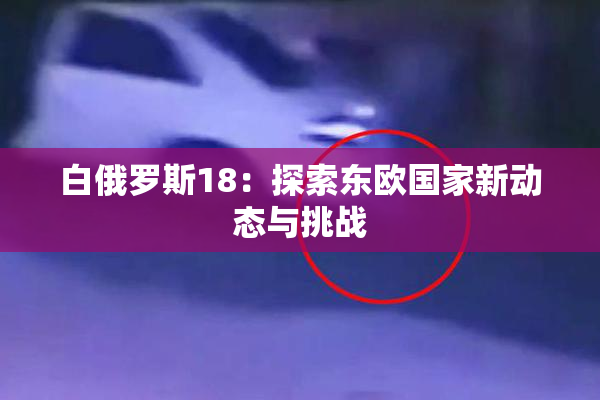 白俄罗斯18：探索东欧国家新动态与挑战