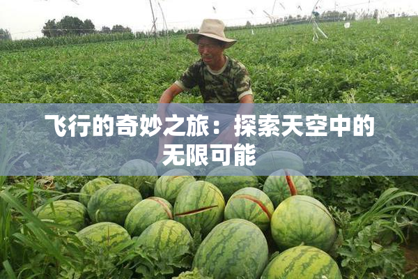 飞行的奇妙之旅：探索天空中的无限可能