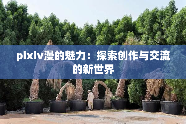 pixiv漫的魅力：探索创作与交流的新世界