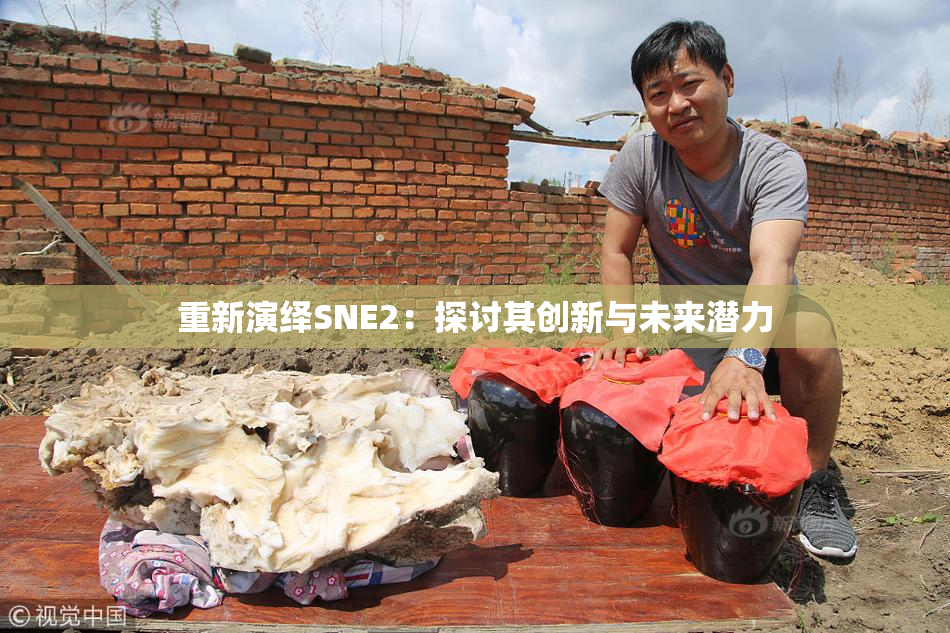 重新演绎SNE2：探讨其创新与未来潜力