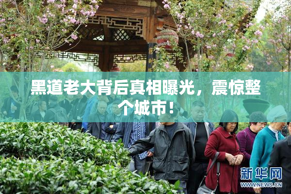 黑道老大背后真相曝光，震惊整个城市！