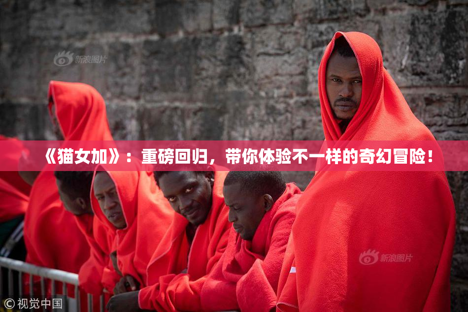 《猫女加》：重磅回归，带你体验不一样的奇幻冒险！