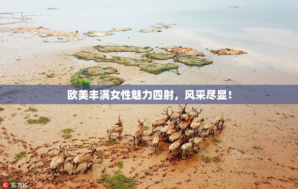 欧美丰满女性魅力四射，风采尽显！