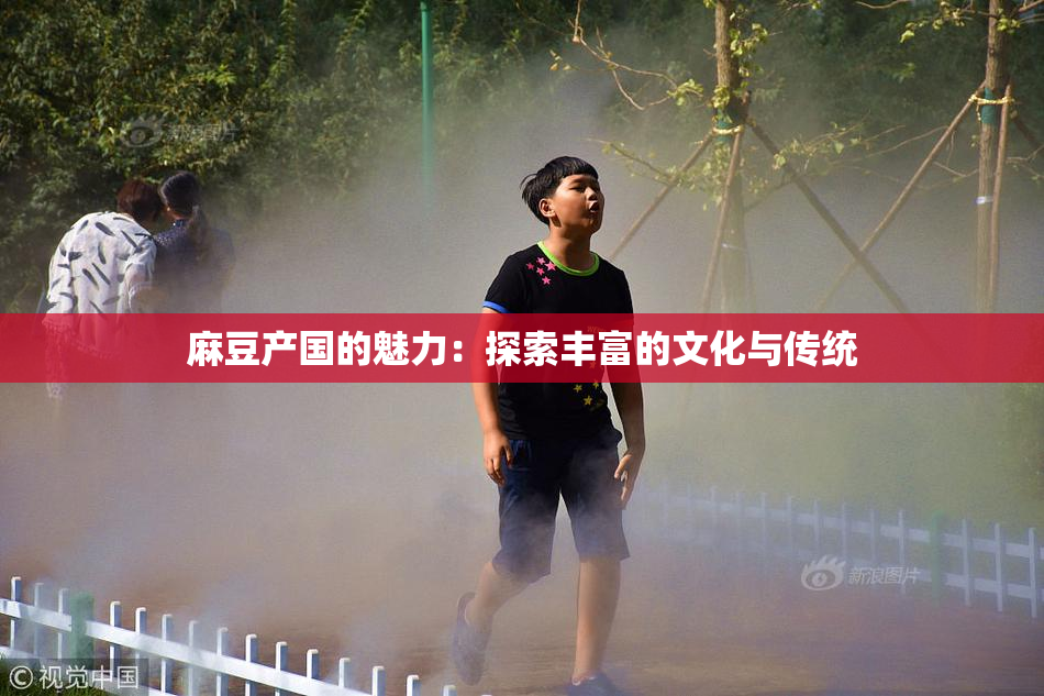 麻豆产国的魅力：探索丰富的文化与传统