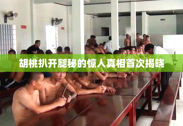 胡桃扒开腿秘的惊人真相首次揭晓