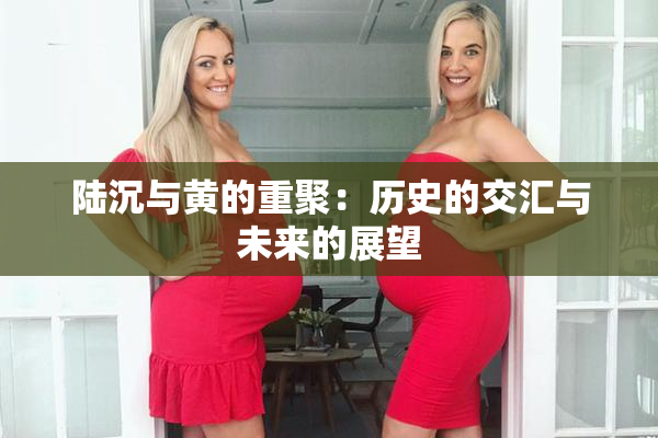 陆沉与黄的重聚：历史的交汇与未来的展望