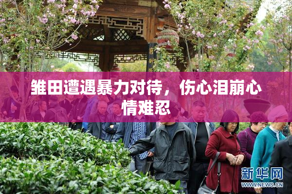 雏田遭遇暴力对待，伤心泪崩心情难忍