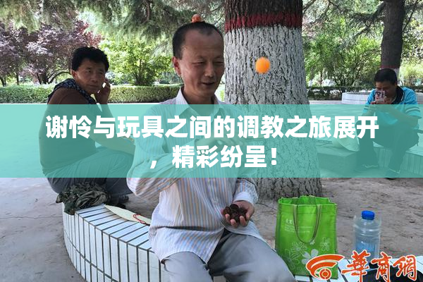 谢怜与玩具之间的调教之旅展开，精彩纷呈！