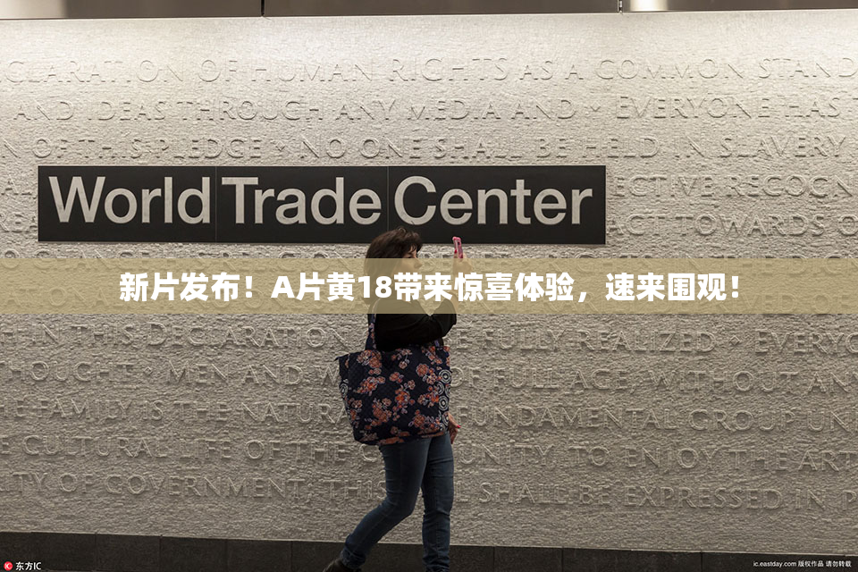 新片发布！A片黄18带来惊喜体验，速来围观！