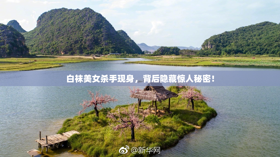 白袜美女杀手现身，背后隐藏惊人秘密！