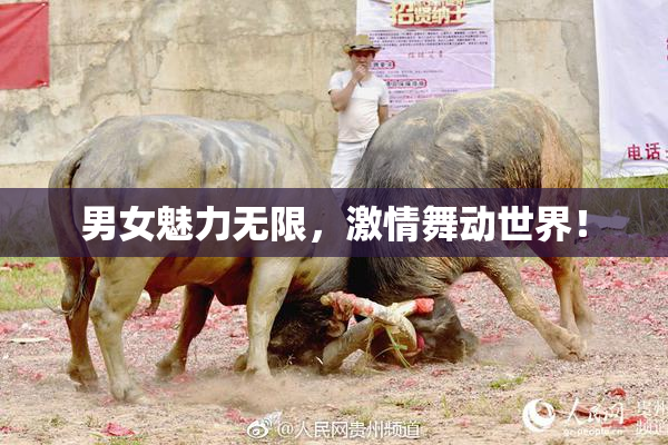男女魅力无限，激情舞动世界！