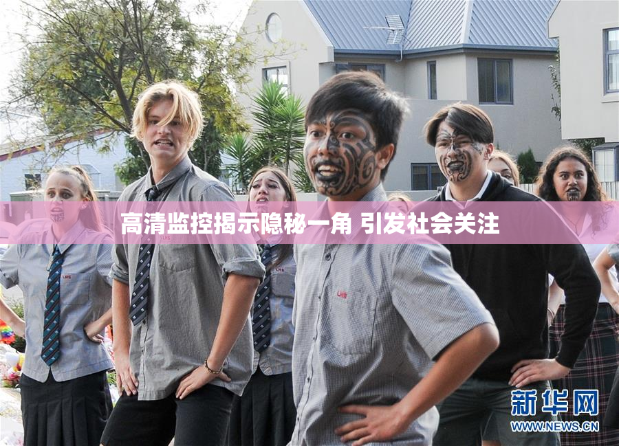 高清监控揭示隐秘一角 引发社会关注