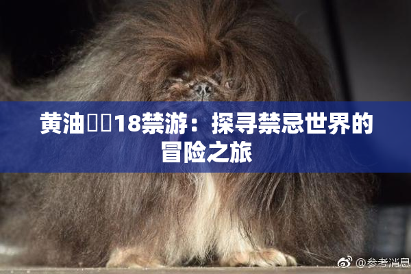 黄油❌‌18禁游：探寻禁忌世界的冒险之旅