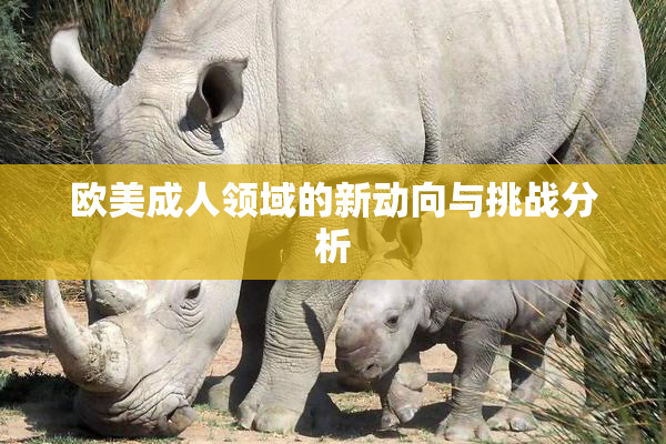 欧美成人领域的新动向与挑战分析