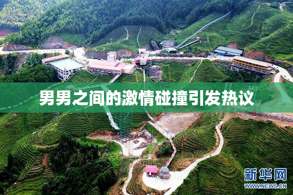 男男之间的激情碰撞引发热议