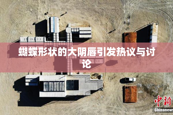 蝴蝶形状的大阴唇引发热议与讨论