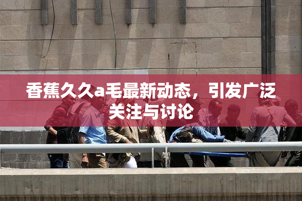 香蕉久久a毛最新动态，引发广泛关注与讨论