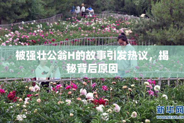 被强壮公翁H的故事引发热议，揭秘背后原因