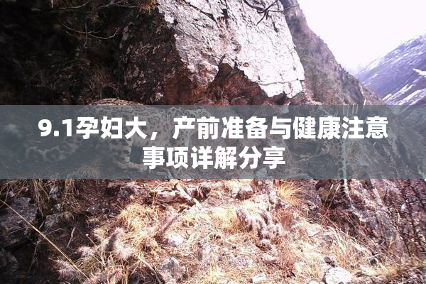 9.1孕妇大，产前准备与健康注意事项详解分享