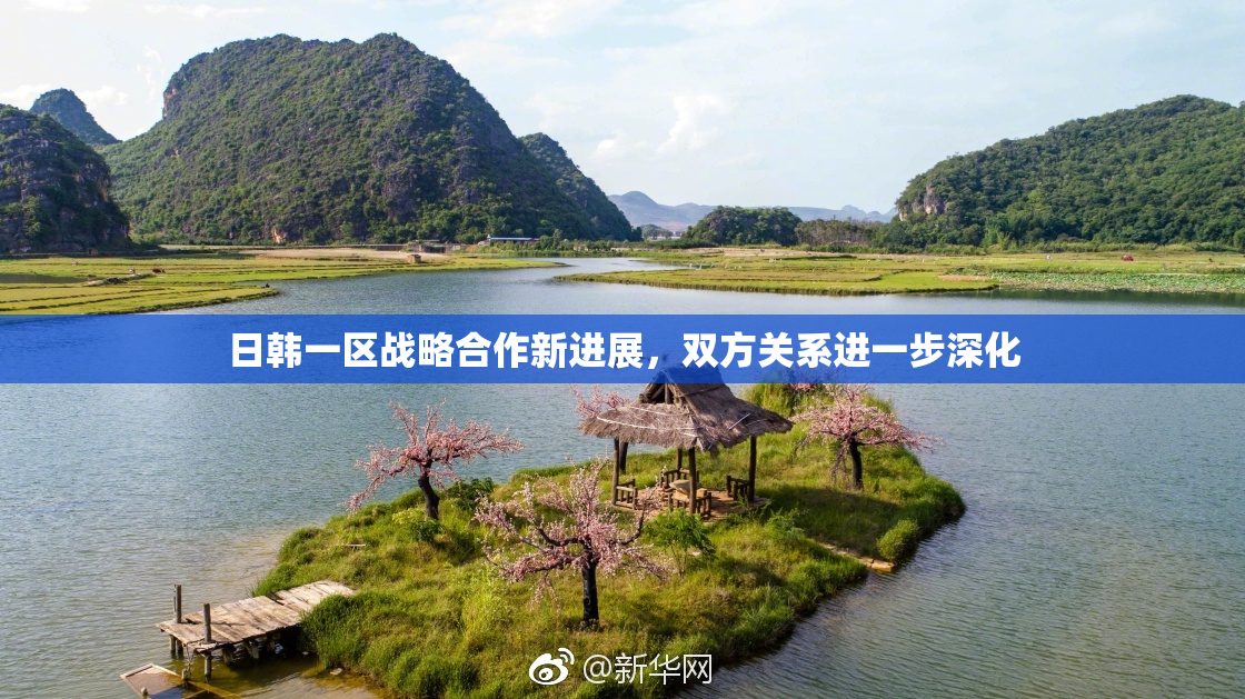 日韩一区战略合作新进展，双方关系进一步深化