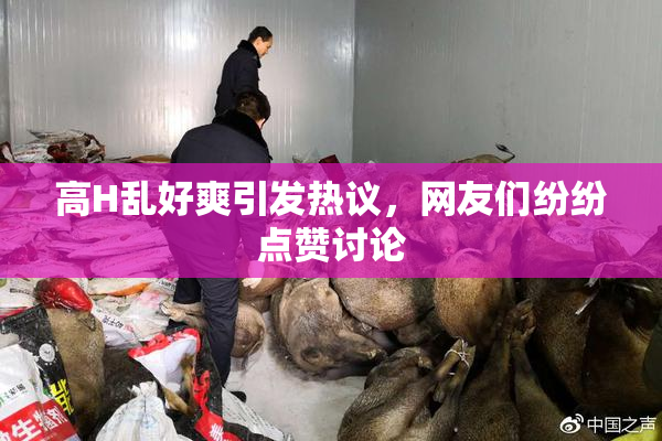 高H乱好爽引发热议，网友们纷纷点赞讨论
