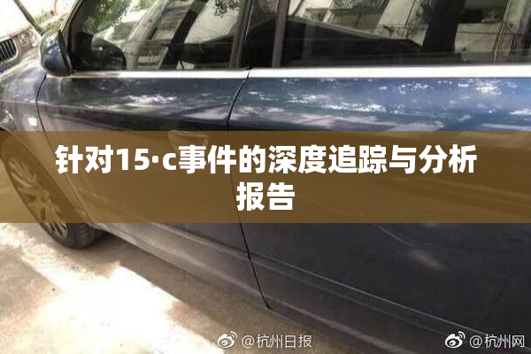 针对15·c事件的深度追踪与分析报告
