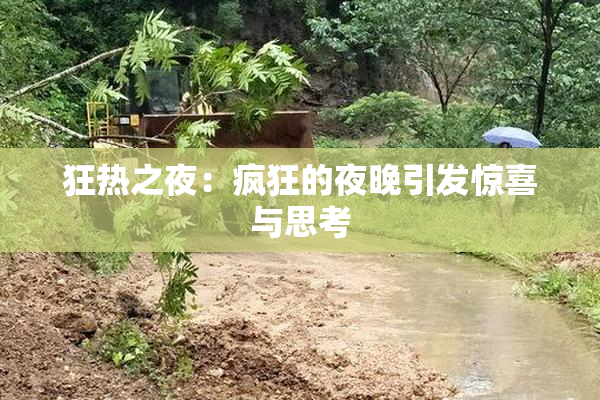 狂热之夜：疯狂的夜晚引发惊喜与思考
