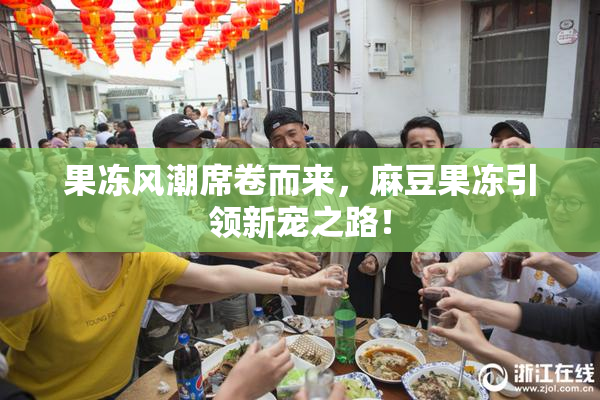 果冻风潮席卷而来，麻豆果冻引领新宠之路！