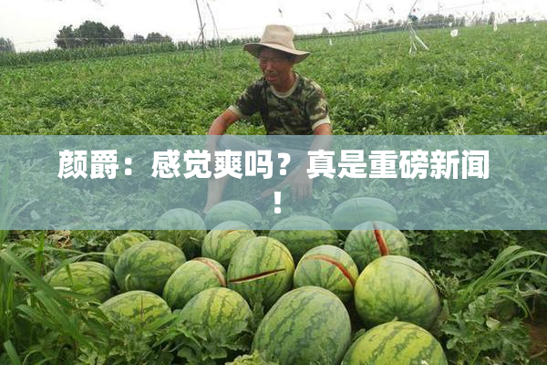 颜爵：感觉爽吗？真是重磅新闻！