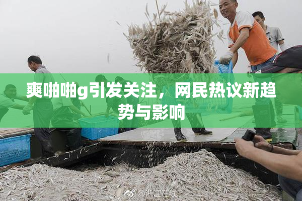 爽啪啪g引发关注，网民热议新趋势与影响