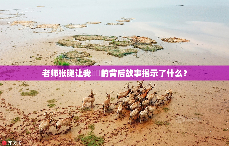 老师张腿让我❌‌的背后故事揭示了什么？