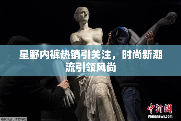 星野内裤热销引关注，时尚新潮流引领风尚