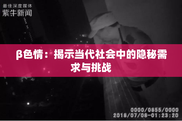 β色情：揭示当代社会中的隐秘需求与挑战