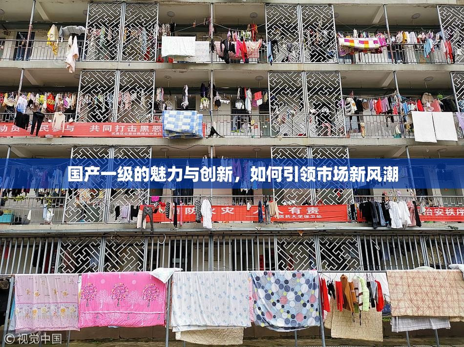 国产一级的魅力与创新，如何引领市场新风潮