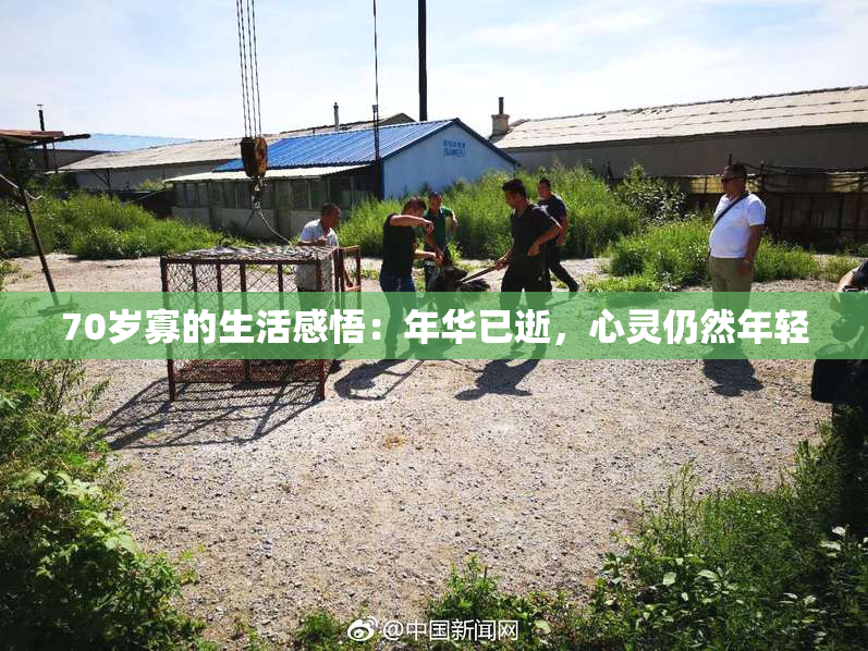 70岁寡的生活感悟：年华已逝，心灵仍然年轻