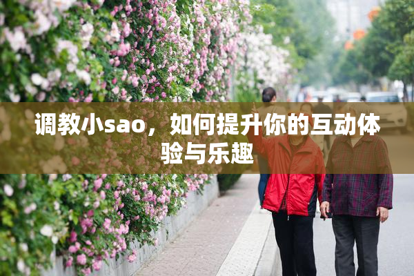 调教小sao，如何提升你的互动体验与乐趣