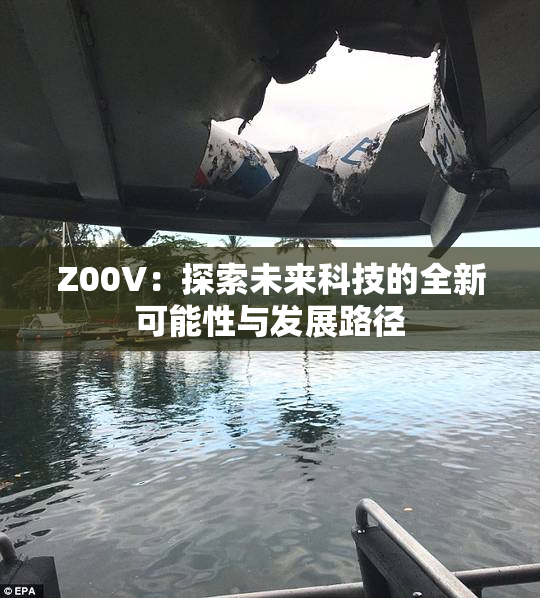 Z00V：探索未来科技的全新可能性与发展路径