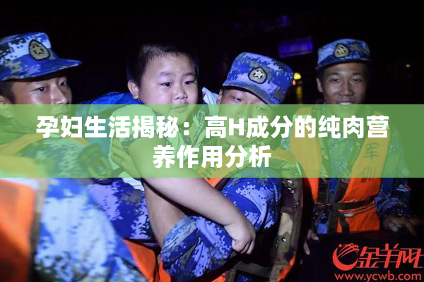 孕妇生活揭秘：高H成分的纯肉营养作用分析