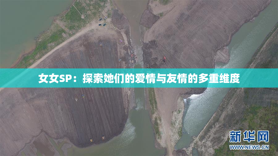 女女SP：探索她们的爱情与友情的多重维度