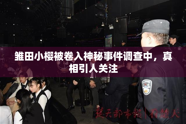 雏田小樱被卷入神秘事件调查中，真相引人关注