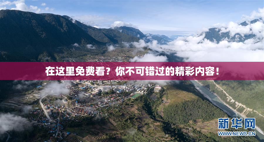 在这里免费看？你不可错过的精彩内容！