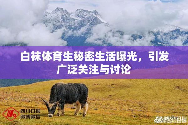 白袜体育生秘密生活曝光，引发广泛关注与讨论