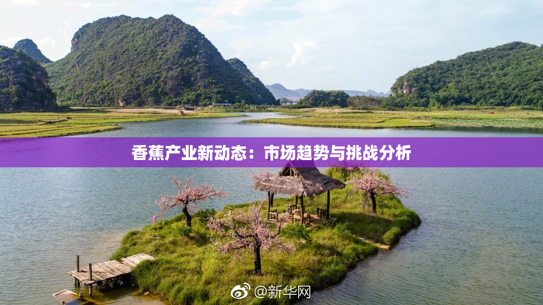 香蕉产业新动态：市场趋势与挑战分析