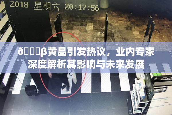 🔞β黄品引发热议，业内专家深度解析其影响与未来发展