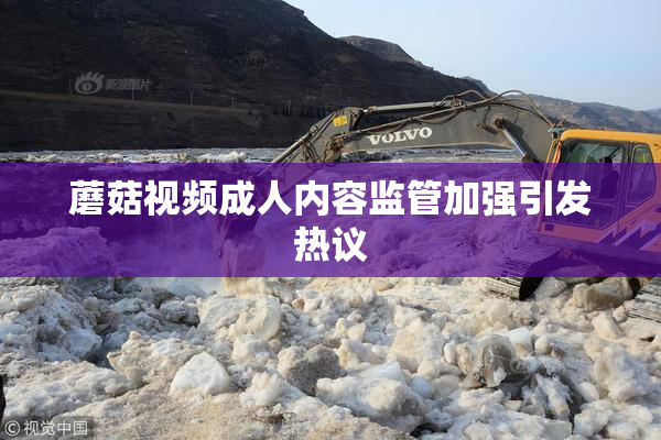 蘑菇视频成人内容监管加强引发热议